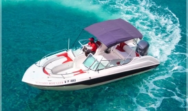 Sealine Sports Boat (26ft)